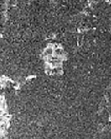 Pte. Thomas George Coombs