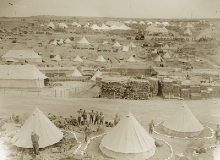 The toilet facilities at Gallipoli were far from luxurious. Latrines in a war zone are never of a particularly high standard, but the cramped nature of the peninsula, the difficulty of keeping clean, and the widespread dysentery meant those at Gallipoli were in an especially poor state.