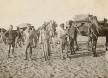 British soldiers with members of the Egyptian Camel Transport Corps, carrying water for troops, Sheik Nakhrur, 1917.