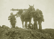 Battle of Pilckem Ridge. British troops loading a pack horse with wiring staples, 31 July 1917.